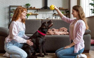 Pet-Friendly Home Design: Creating a Safe and Comfortable Space for Your Furry Friends