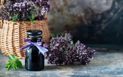 The Power of Aromatherapy: Using Scents to Enhance Your Home Environment