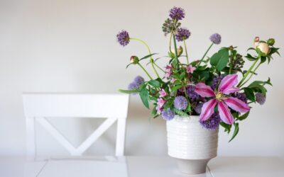 The Joy of Indoor Plants: Benefits and Care Tips for Houseplants